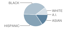 Stafford High School Student Race Distribution