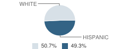 Stanton High School Student Race Distribution