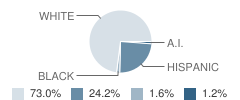 Gilbert Intermediate School Student Race Distribution