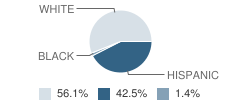 Stockdale High School Student Race Distribution