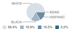 Sweeny Junior High School Student Race Distribution