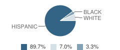 Taft High School Student Race Distribution