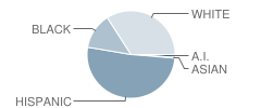 Taylor High School Student Race Distribution