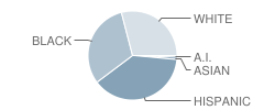 Lamar Middle School Student Race Distribution