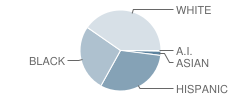 Scott Elementary School Student Race Distribution