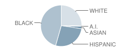 Raye-Allen Elementary School Student Race Distribution