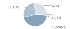 W H Burnett Elementary School Student Race Distribution