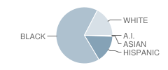 Highland Park Elementary School Student Race Distribution