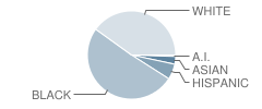 Spring Lake Park Elementary School Student Race Distribution