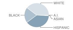 Blocker Middle School Student Race Distribution