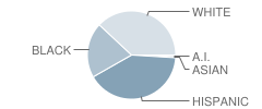 Fry Intermediate School Student Race Distribution