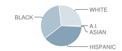 Bell Elementary School Student Race Distribution