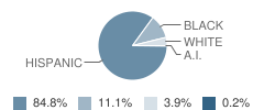 Bonner Elementary School Student Race Distribution