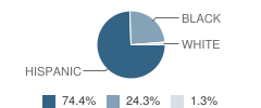 T J Austin Elementary School Student Race Distribution