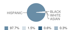 Gutierrez Elementary School Student Race Distribution