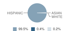 Finley Elementary School Student Race Distribution