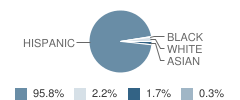 Col Santos Benavides Elementary School Student Race Distribution
