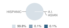 John W Arndt Elementary School Student Race Distribution