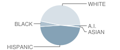 Aloe Elementary School Student Race Distribution