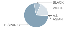 Smith Elementary Magnet School Student Race Distribution