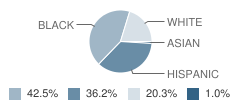 Parkdale Elementary School Student Race Distribution