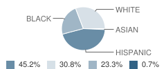 Viking Hills Elementary School Student Race Distribution