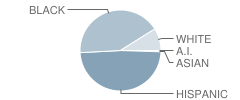 South Waco Elementary School Student Race Distribution