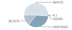 Waller High School Student Race Distribution