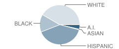 Marvin Elementary School Student Race Distribution