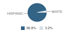 Bruni High School Student Race Distribution