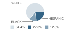 Weimar High School Student Race Distribution