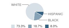 Wells Elementary School Student Race Distribution