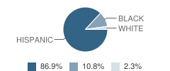 Kennedy Elementary School Student Race Distribution