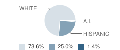 Westphalia Elementary School Student Race Distribution