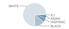 Whitehouse Junior High School Student Race Distribution