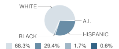 Whitharral School Student Race Distribution