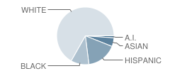 Mcniel Junior High School Student Race Distribution