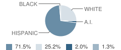 Wilson School Student Race Distribution