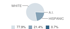 Windthorst High School Student Race Distribution