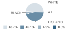 Woodsboro Elementary School Student Race Distribution