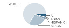 Woodville High School Student Race Distribution