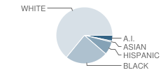 Woodville Intermediate School Student Race Distribution