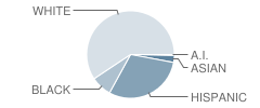 R F Hartman Elementary School Student Race Distribution