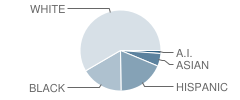 T F Birmingham Elementary School Student Race Distribution