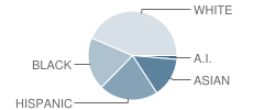 R V Groves Elementary School Student Race Distribution