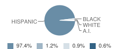 Capistrano Elementary School Student Race Distribution
