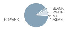 Edgemere Elementary School Student Race Distribution