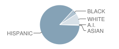 J M Hanks High School Student Race Distribution