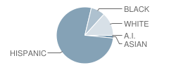 Parkland High School Student Race Distribution