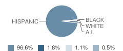 Ysleta High School Student Race Distribution